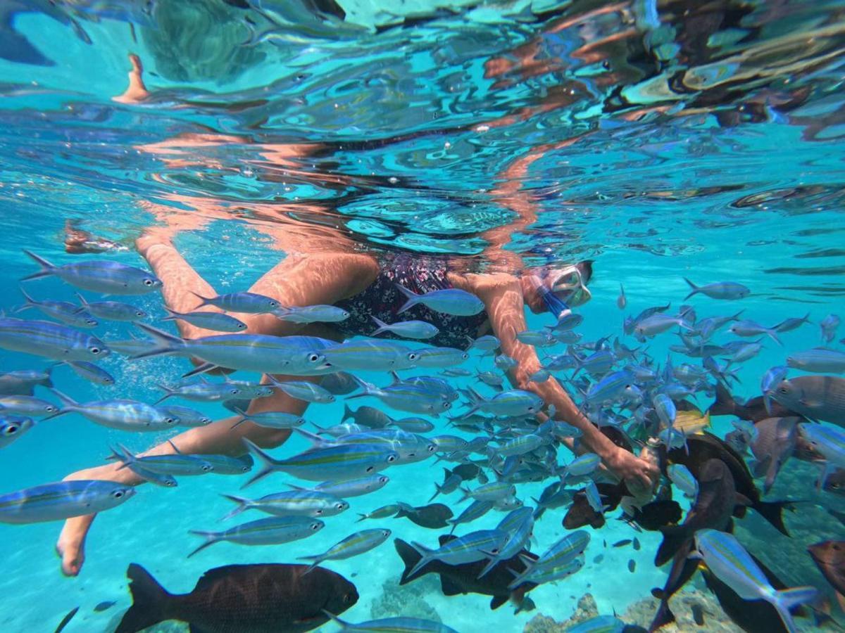 Belvedere Thoddoo-Atoll Exterior foto